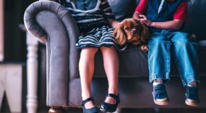 犬のレンタルはひどいのか？ネットの声をまとめてみた結果は？